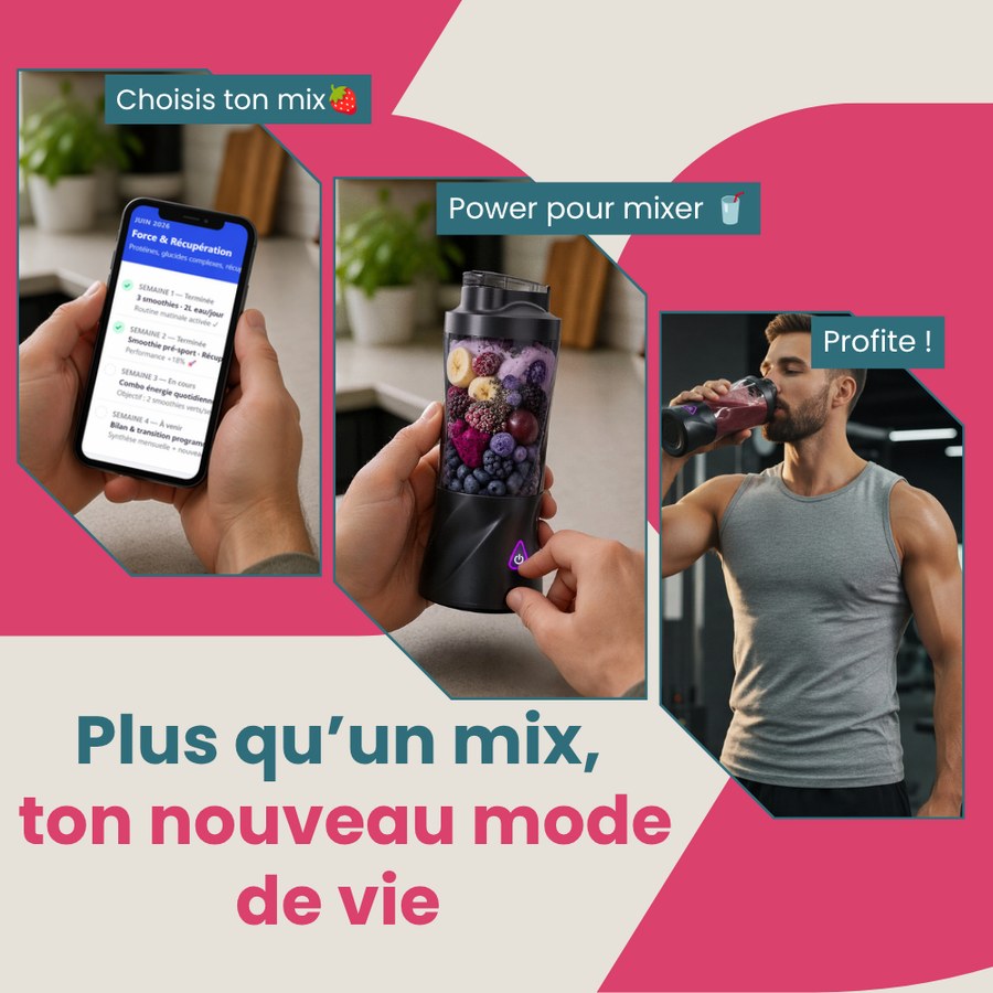 Berrygo mixeur portable