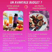 Berrygo mixeur portable