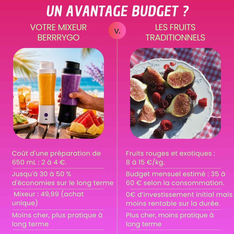 Berrygo mixeur portable