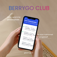 Berrygo mixeur portable